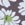 Mekko 3922_sample