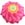 Tropical Flower_sample