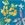 Tropical Flower_sample