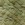 Sage Green_sample