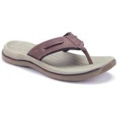 Sperry Top-Sider Men's Santa Cruz Thong Sandal Chocolate